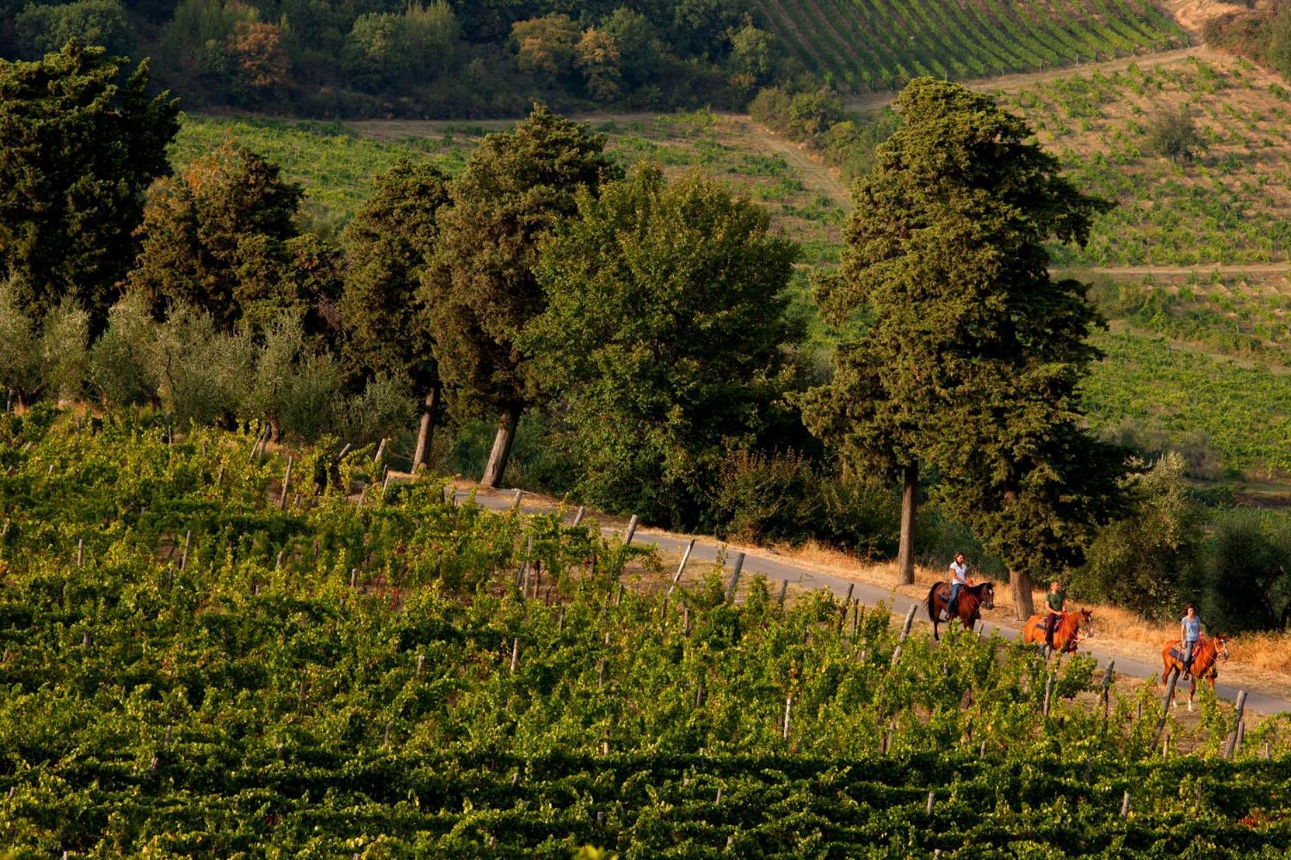 Agriturismo Fattoria Lavacchio Pontassieve Exterior foto