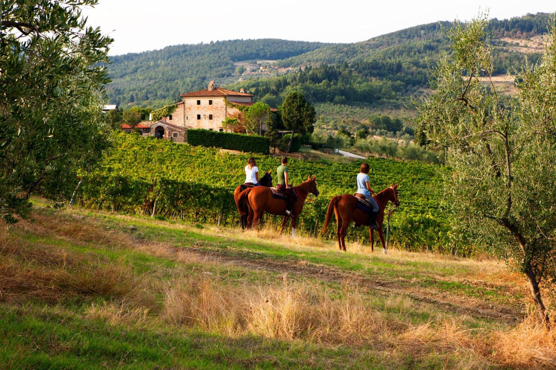 Agriturismo Fattoria Lavacchio Pontassieve Exterior foto
